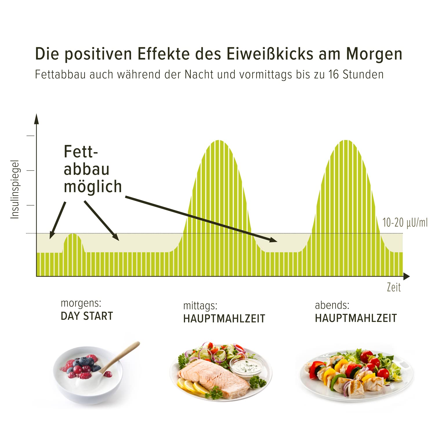 BODYMED Day Start Eiweißfrühstück | Figurbewusstes Frühstück | Mahlzeitersatz mit hochwertigem Molkeneiweiß | low-carb, mit Beta-Glucan und wichtigen Vitaminen und Mineralstoffen | 350g Dose
