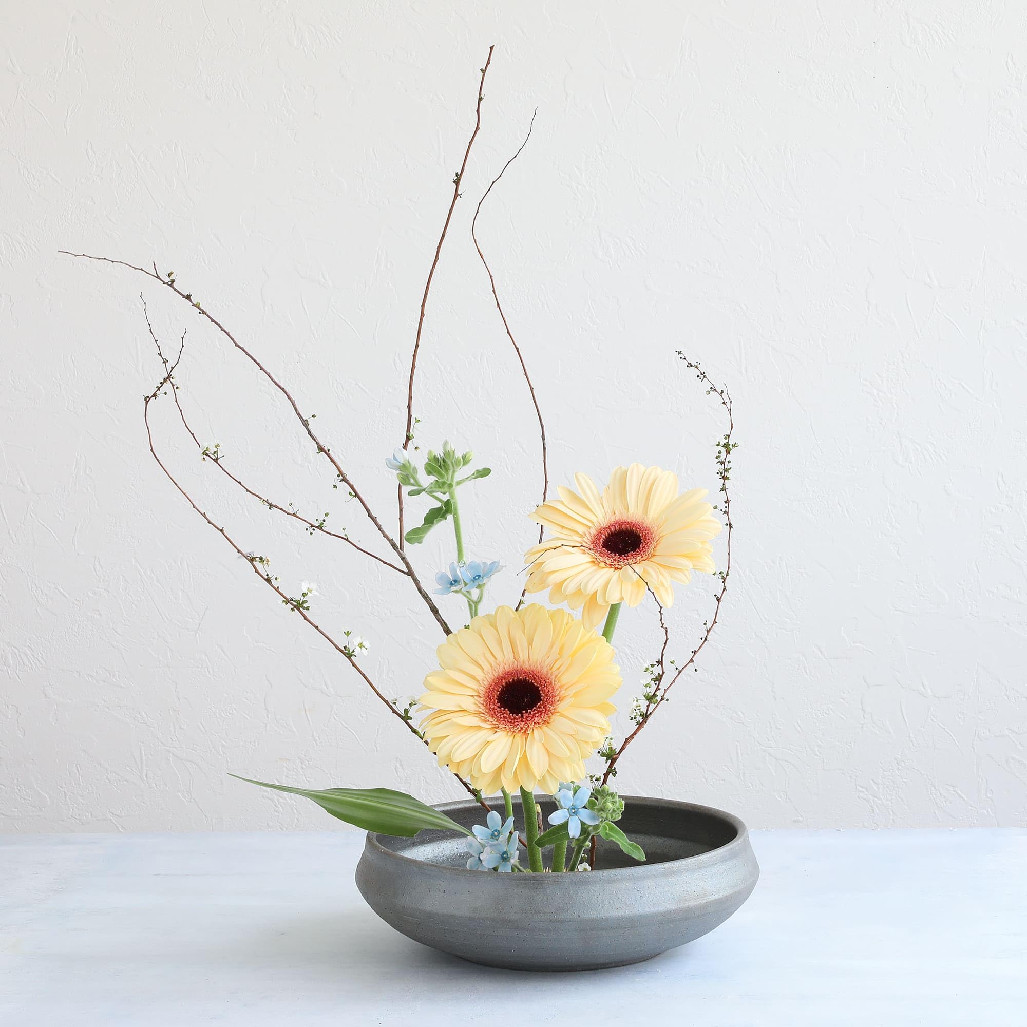 Wazakura Minoyaki Serie Runde Ikebana Blumenvase - Sumi - Made in Japan, Handbemalte Keramik für Blumenstecken Arrangements