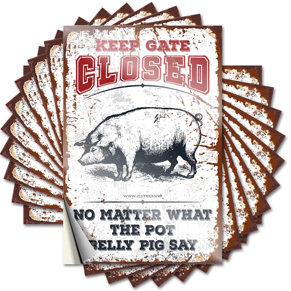 Tattoo Garage Stuff for Guys Vinyl Sticker | Keep Gate Closed No Matter What The Pot Belly Pig Say Small for Motorcycle Use(8X12CM)