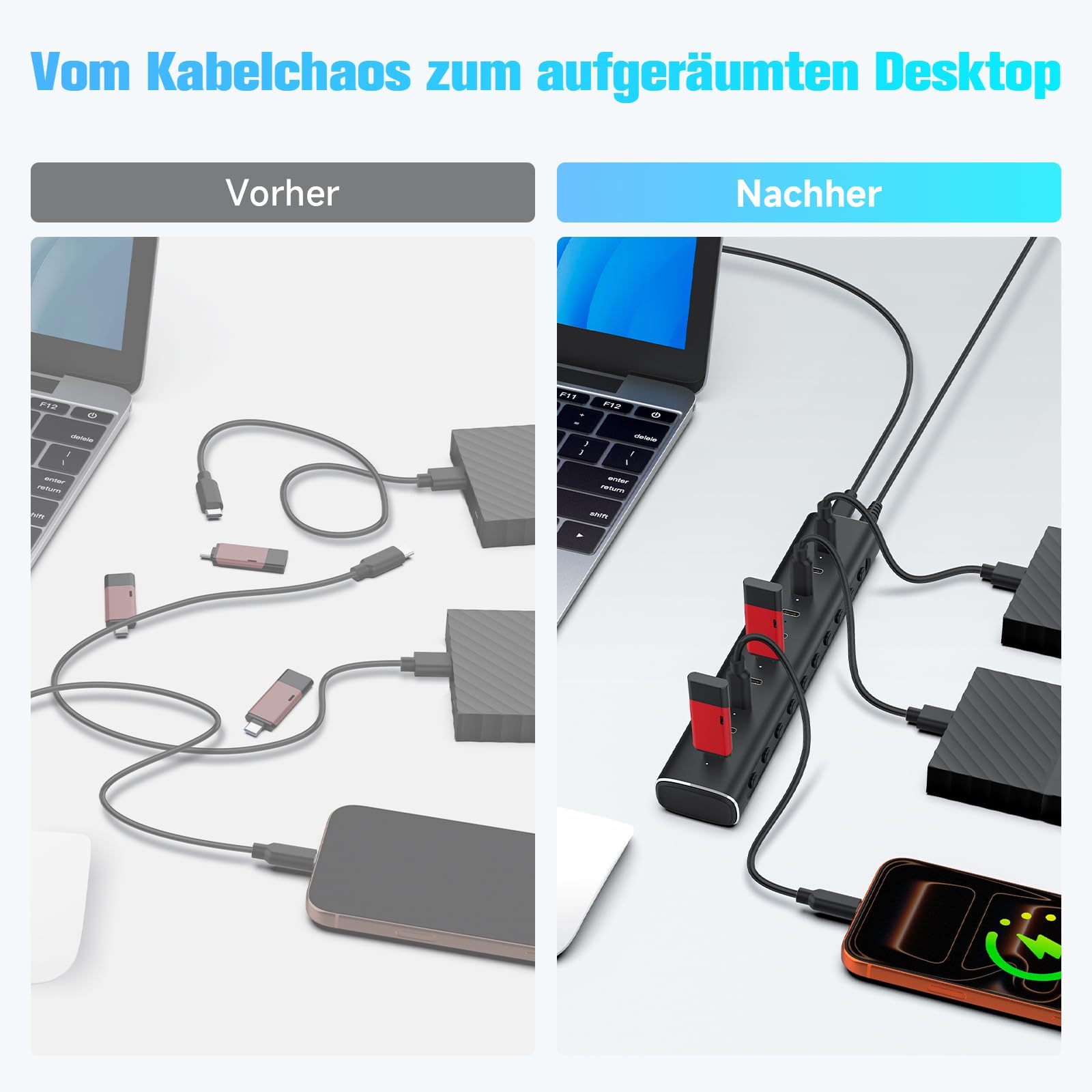 RSHTECH Hub USB C 3.2 Alimentato a 10 Porte (10Gbps/Porta), RSH-H10C | Hub USB Alluminio con Adattatore 60W(12V/5A), Cavo Rimovibile 1m, Interruttore Indipendente, per computer portatile/PC