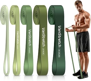 Resistance Bands for Working Out,5-Level Elastic Pull Up Assistance Bands Set for Men & Women,Exercise Bands for Home Workouts,Fitness,Training & Physical Therapy