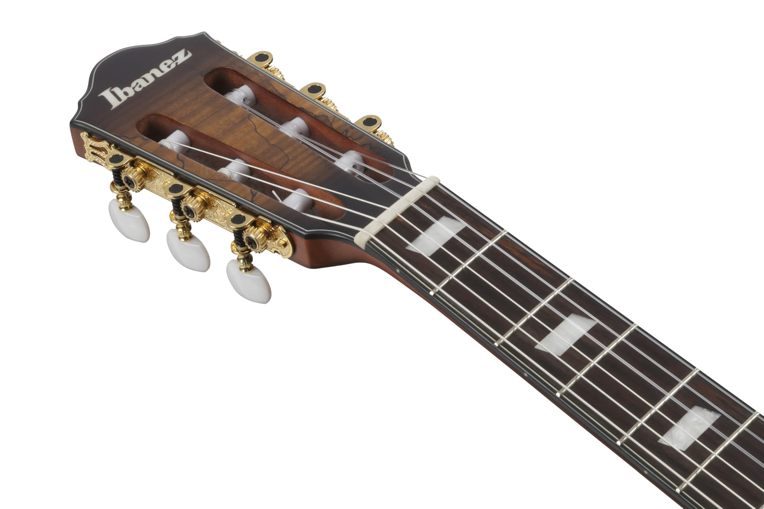 Amazon | Ibanez(アイバニーズ) エレガット Tobacco Burst Low Gloss