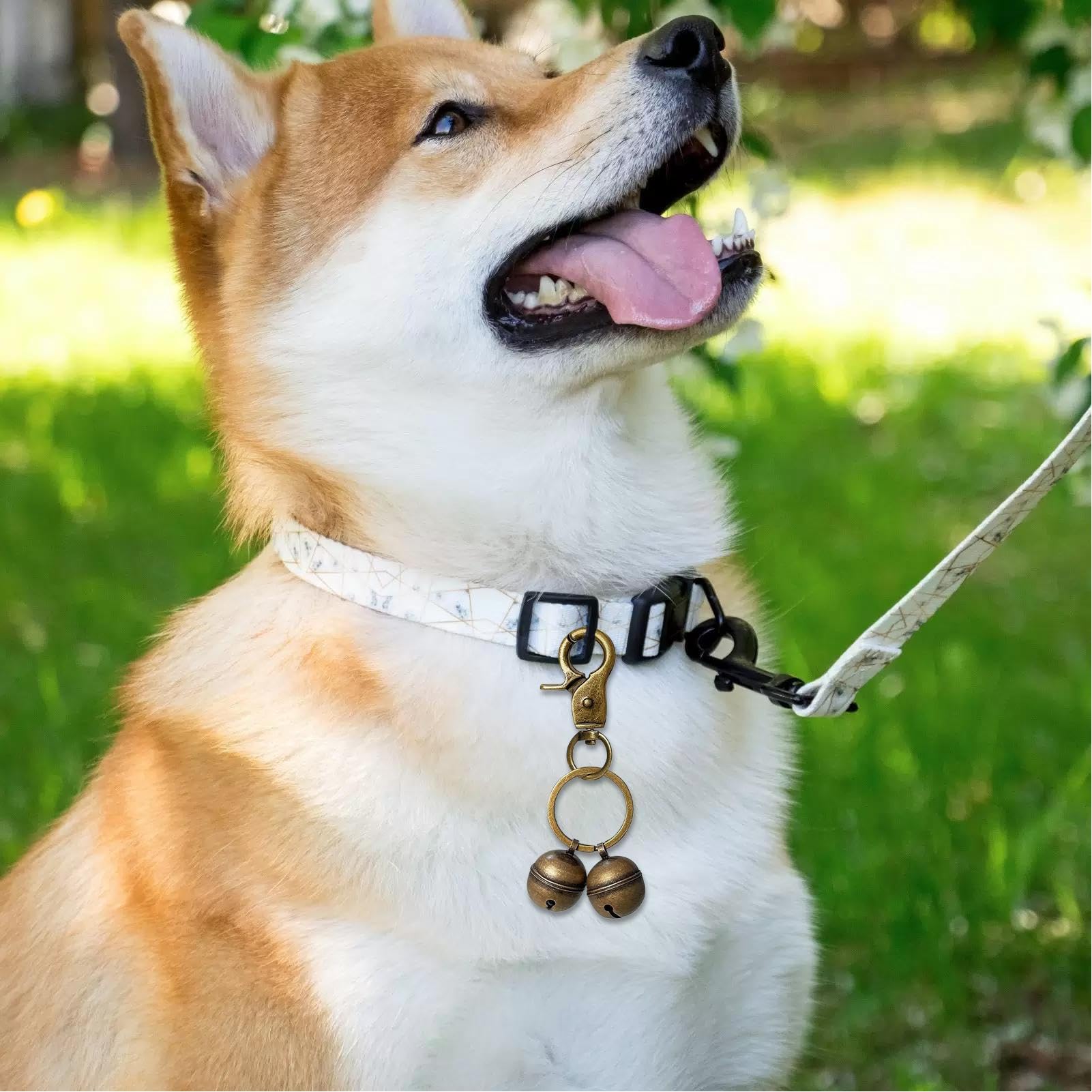 Campanilla para collar de perro | Campanillas colgantes para perros, decoración colgante, colgante para mascotas, senderismo, caza y paseo