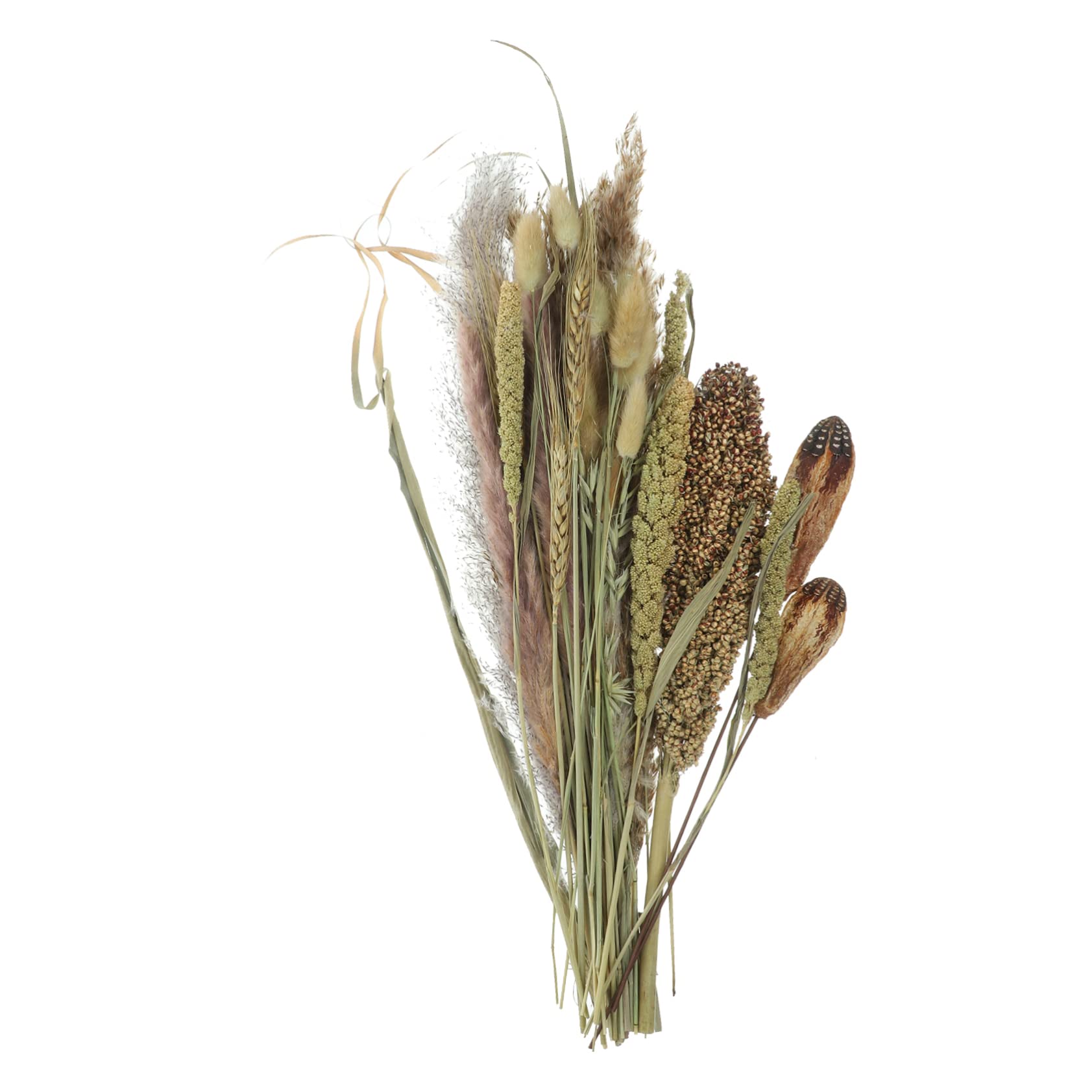 Abaodam 2pezzi Bouquet Di Pampa Essiccati Naturali Per Decorazioni Domestiche Composizioni Floreali Dried Broomcorn Per Matrimoni e Eventi Adatti Stili Boho e Rustici