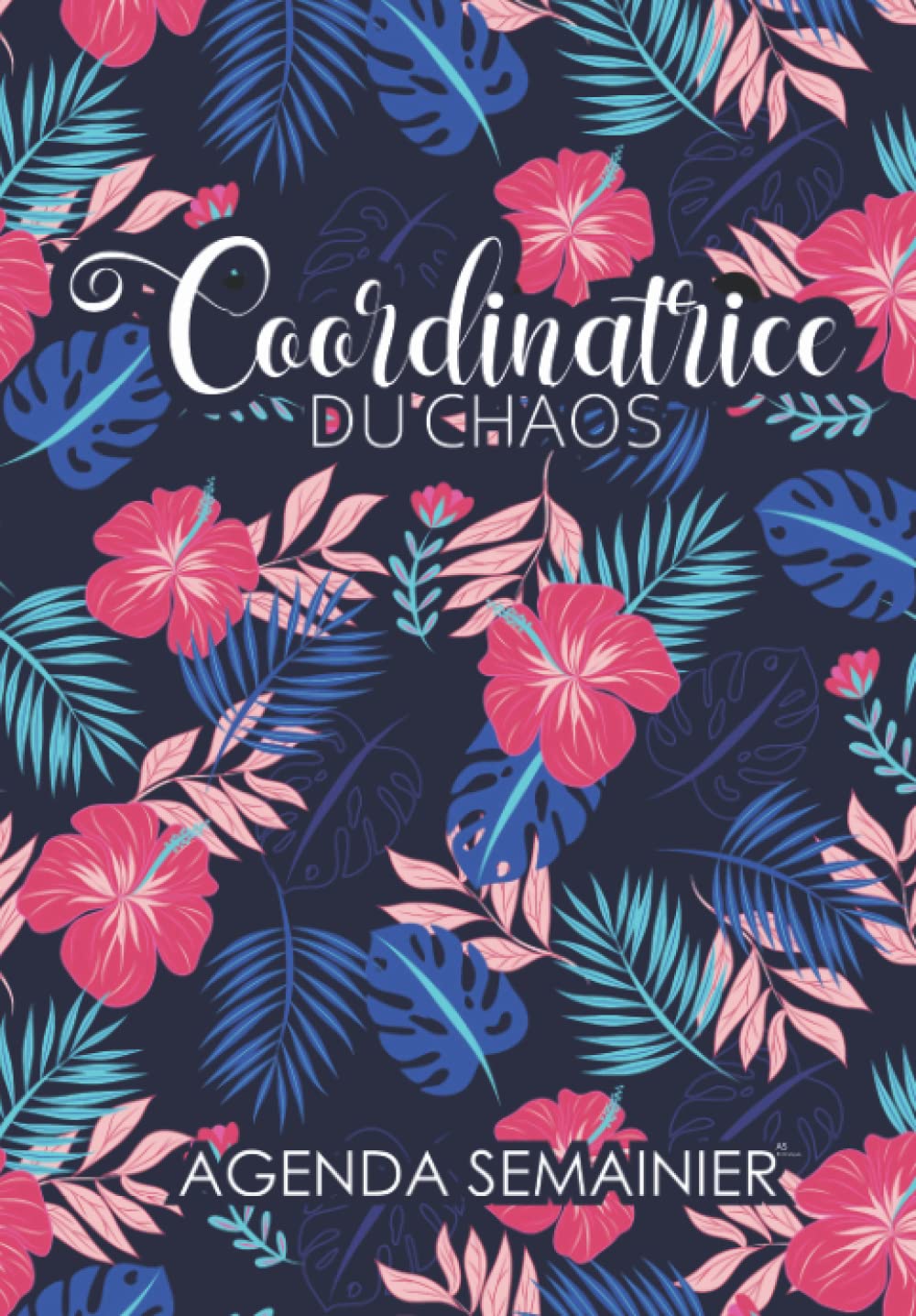 Buy Agenda Semainier A5 en Français Semaine sur deux pages 12 mois