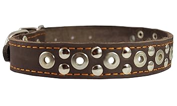 Genuine Leather Studded Dog Collar 26