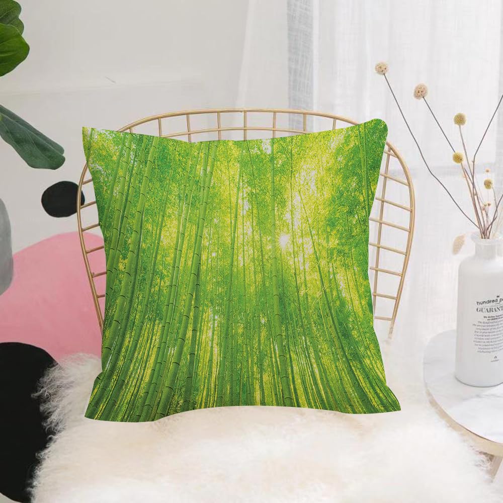 HYOSXW Cushion Cover,Throw Pillow Case Home Decorative for Living Room Bedroom Sofa Chair 16X16 Inch,Bamboo forest, green, fresh, emerald green among the trees, sunlight, light and,Pillowcase 40X40cm