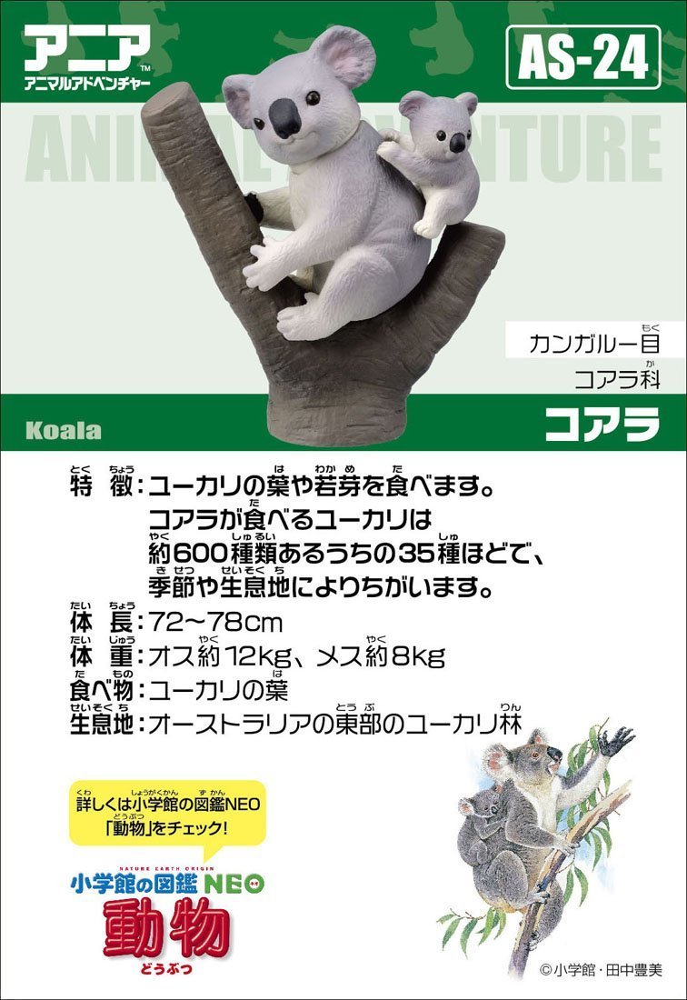 Amazon.co.jp: アニア AS-24 コアラ : おもちゃ