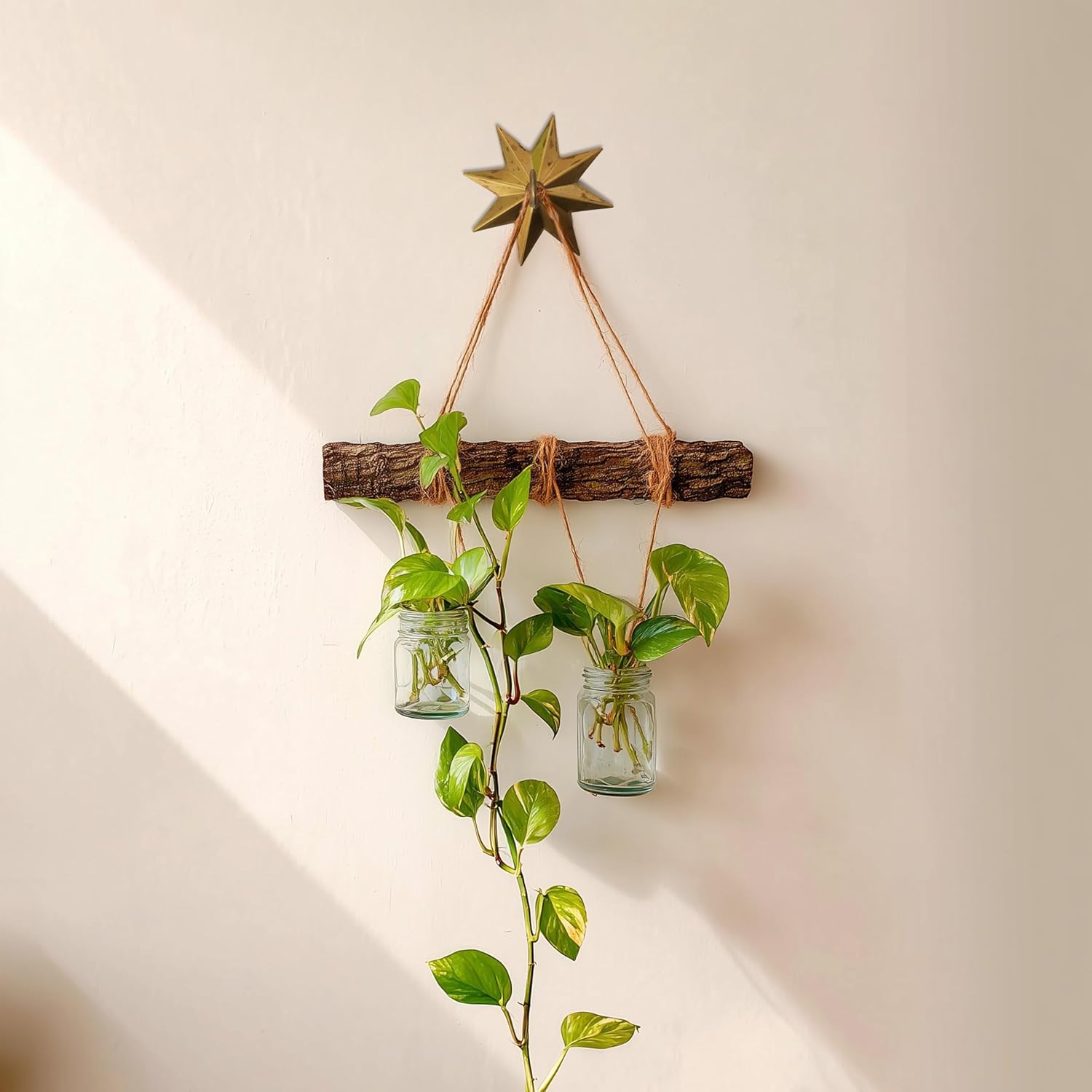 Stylor Whimsical Star Ceiling Hook for Hanging Planters - Celestial Witchy Brass Light Canopy Kit, Boho Vintage Gothic Room Decor, Antique Chandelier Mounting Kit (Medium)