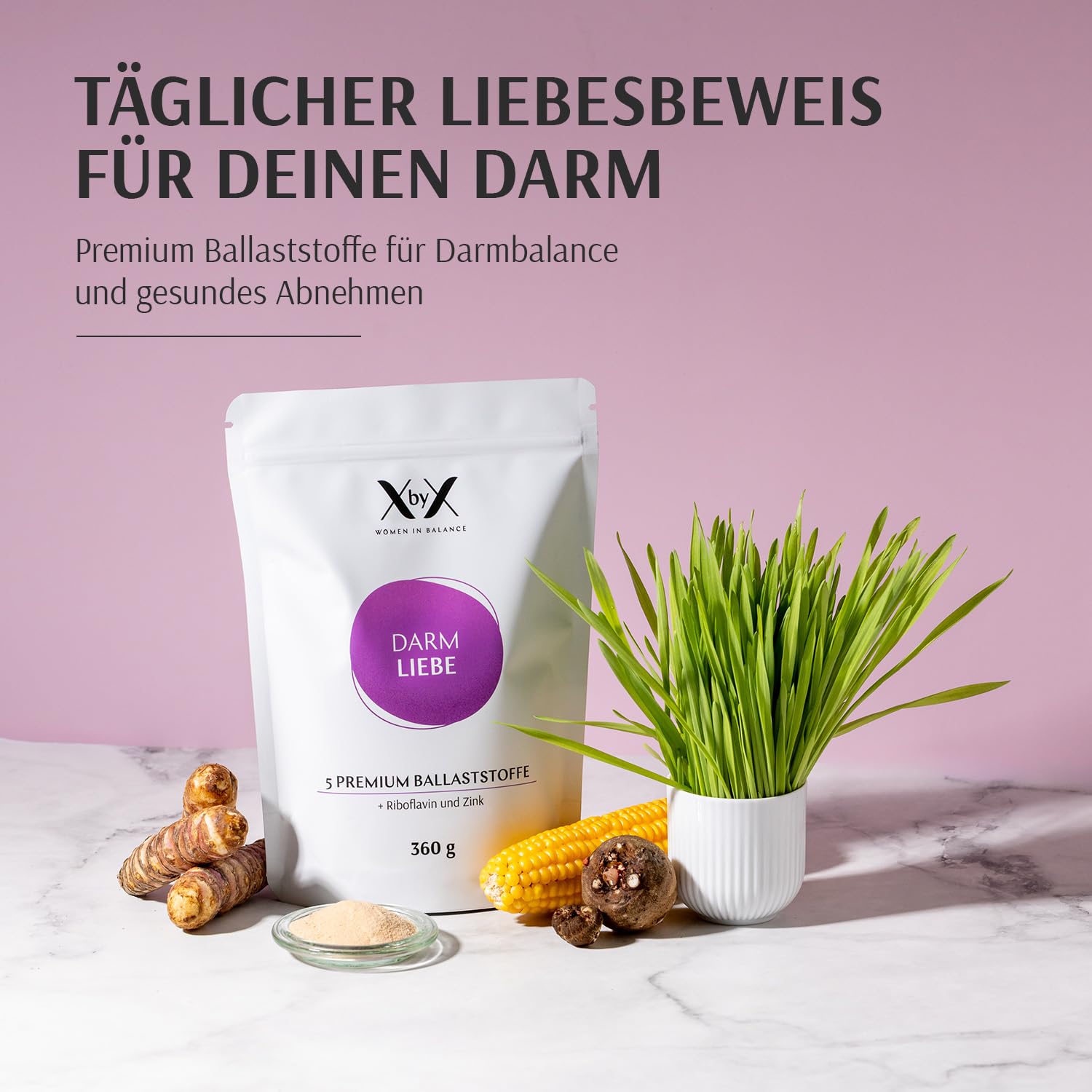 blumenkasten balkon mauer Blumenkastenhalter verzinkt im 3er Set inklusive Blumentopf, fr Gabio   GABIONA