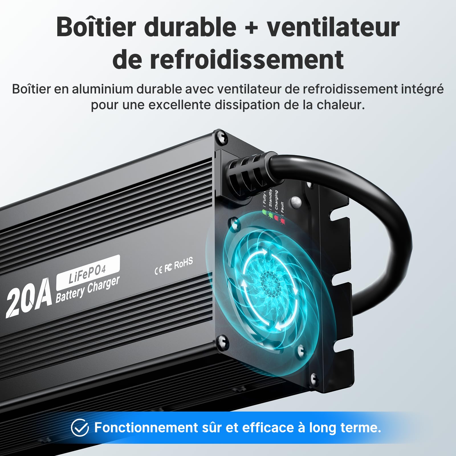 Redodo Chargeur de Batterie Lifepo4 pour Batterie Lithium Fer Phosphate, supporte la Charge Rapide (29,2V 20A)