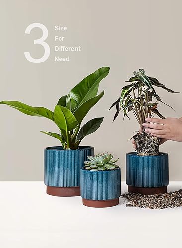 Miniatura 5 de LE TAUCI Macetas de cerámica con agujeros de drenaje, juego de 3, macetas de jardín a rayas de 8 + 6.5 + 5.5 pulgadas para plantas de interior y