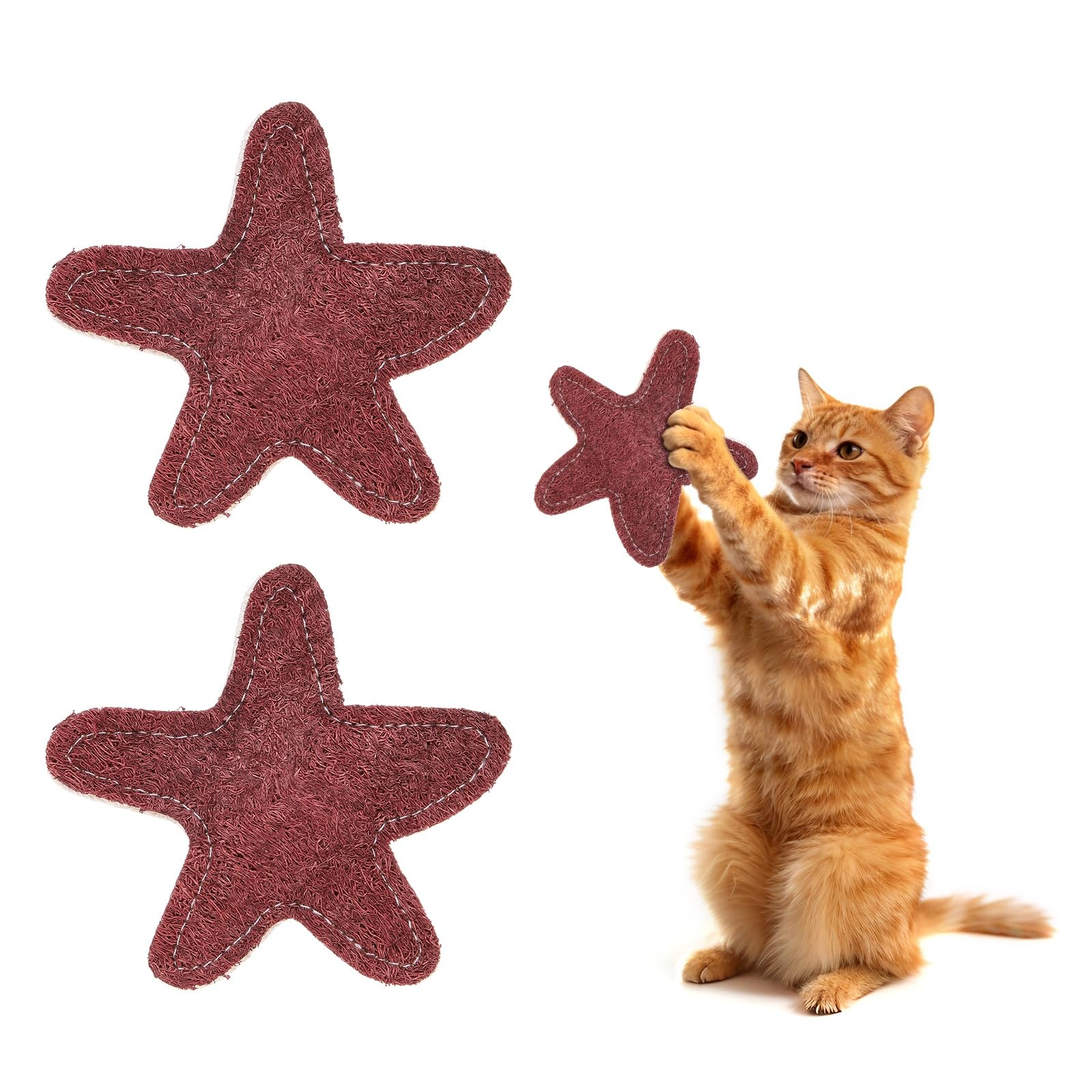 Hierba gatera en forma de estrella roja para dormitorio pack de 2 juguetes resistentes 8