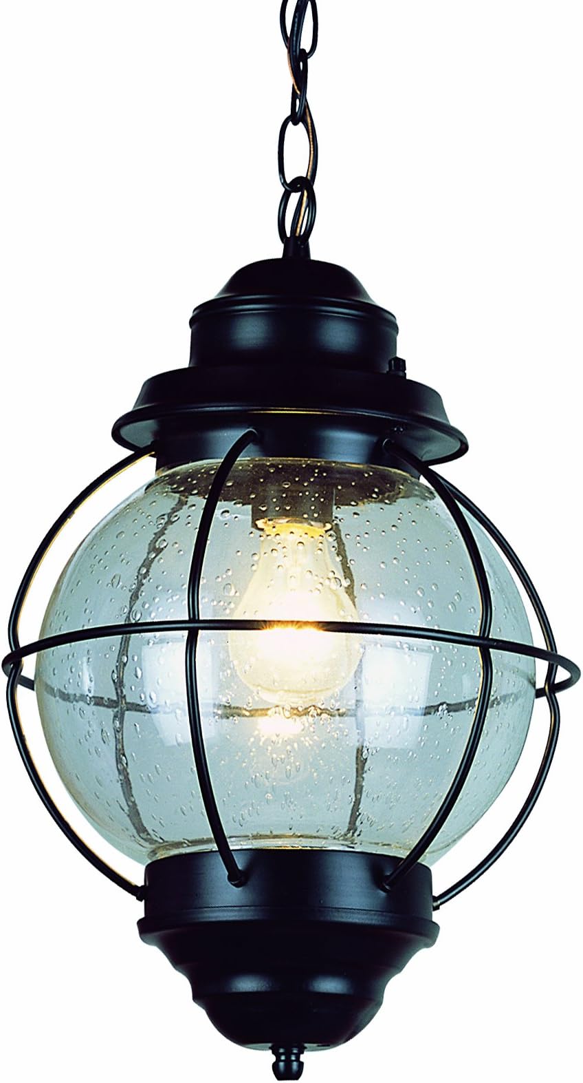 Trans Globe Lighting 69903 BK Outdoor Catalina 13.5" Hanging Lantern, Black
