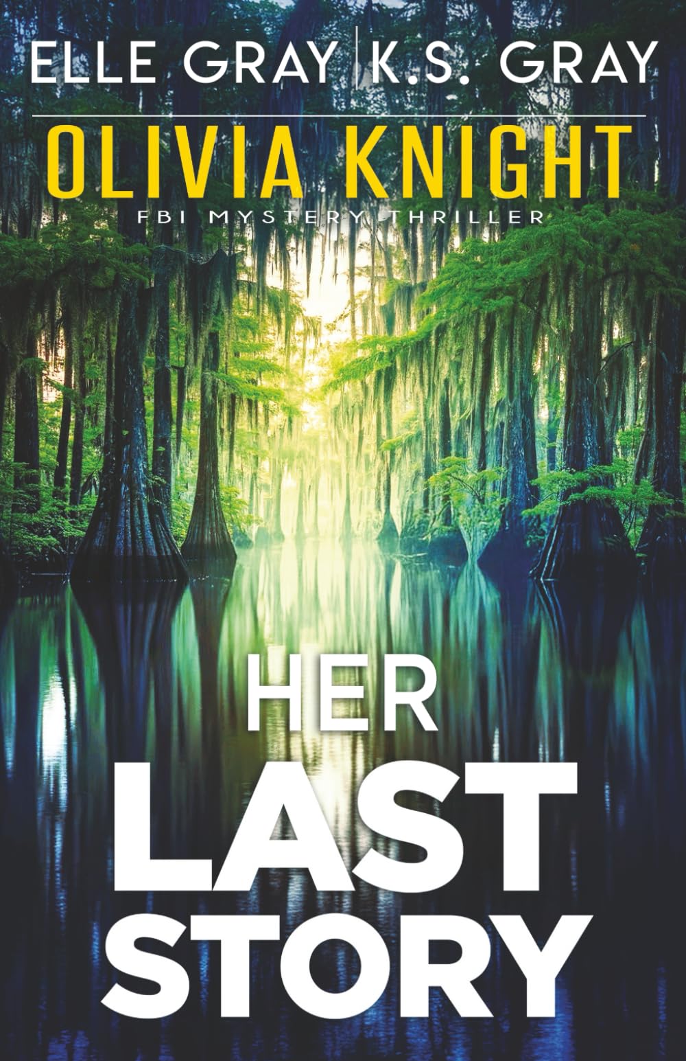 Her Last Story (Olivia Knight FBI Mystery Thriller)