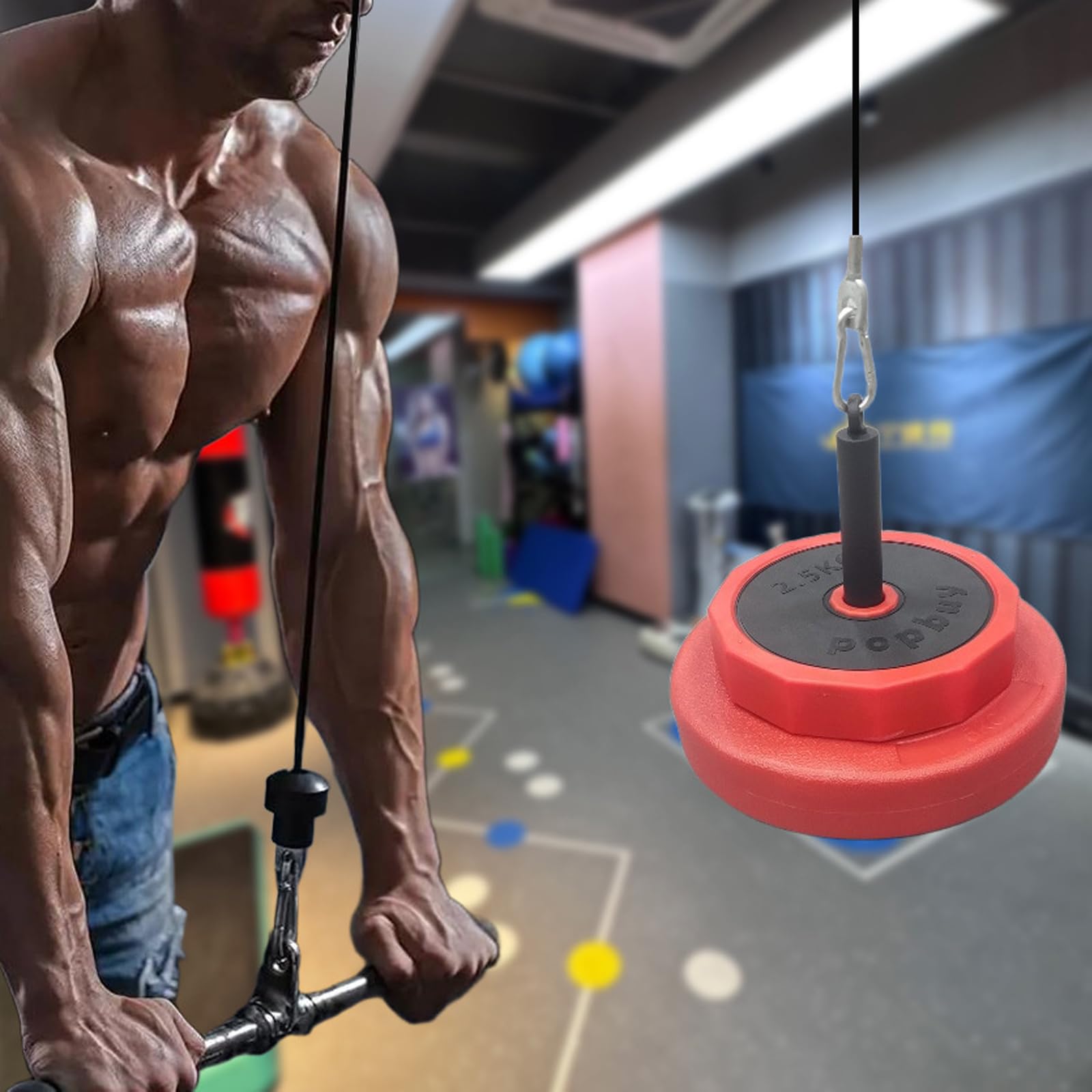 Asta Professionale con puleggia, Accessorio da Palestra Regolabile in 4 Posizioni per la Riabilitazione, rafforzamento della e Fitness Domestico Installa Rapidamente la puleggia