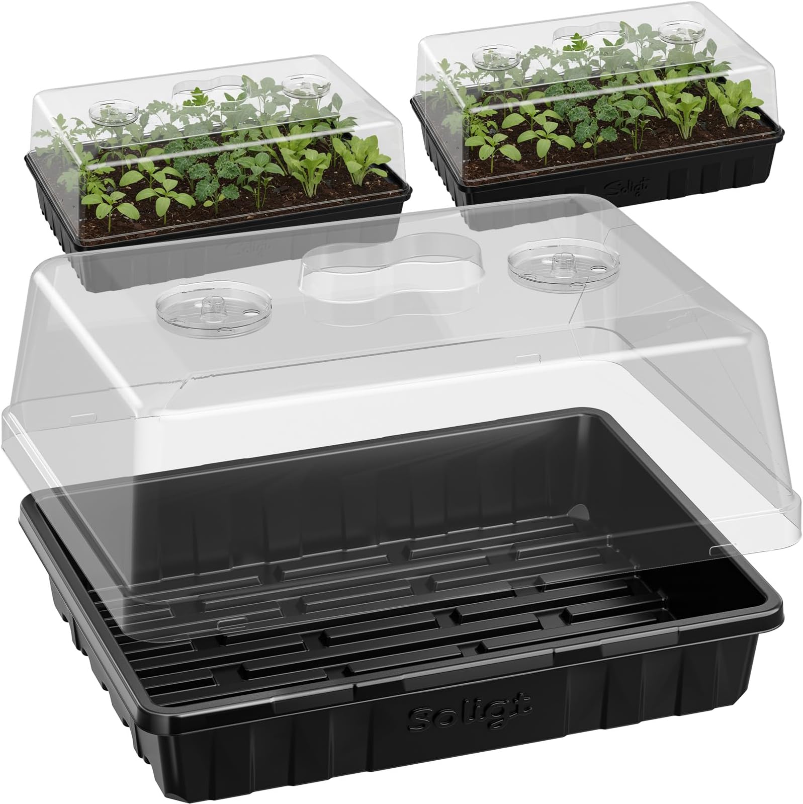 SOLIGT [Thick Plastic] 3-Set Strong Seed Starter Trays with 5" Humidity Domes for Seed Starting, Germination, Seedling Propagation & Plant Growing, Holds 144 Cells in Total