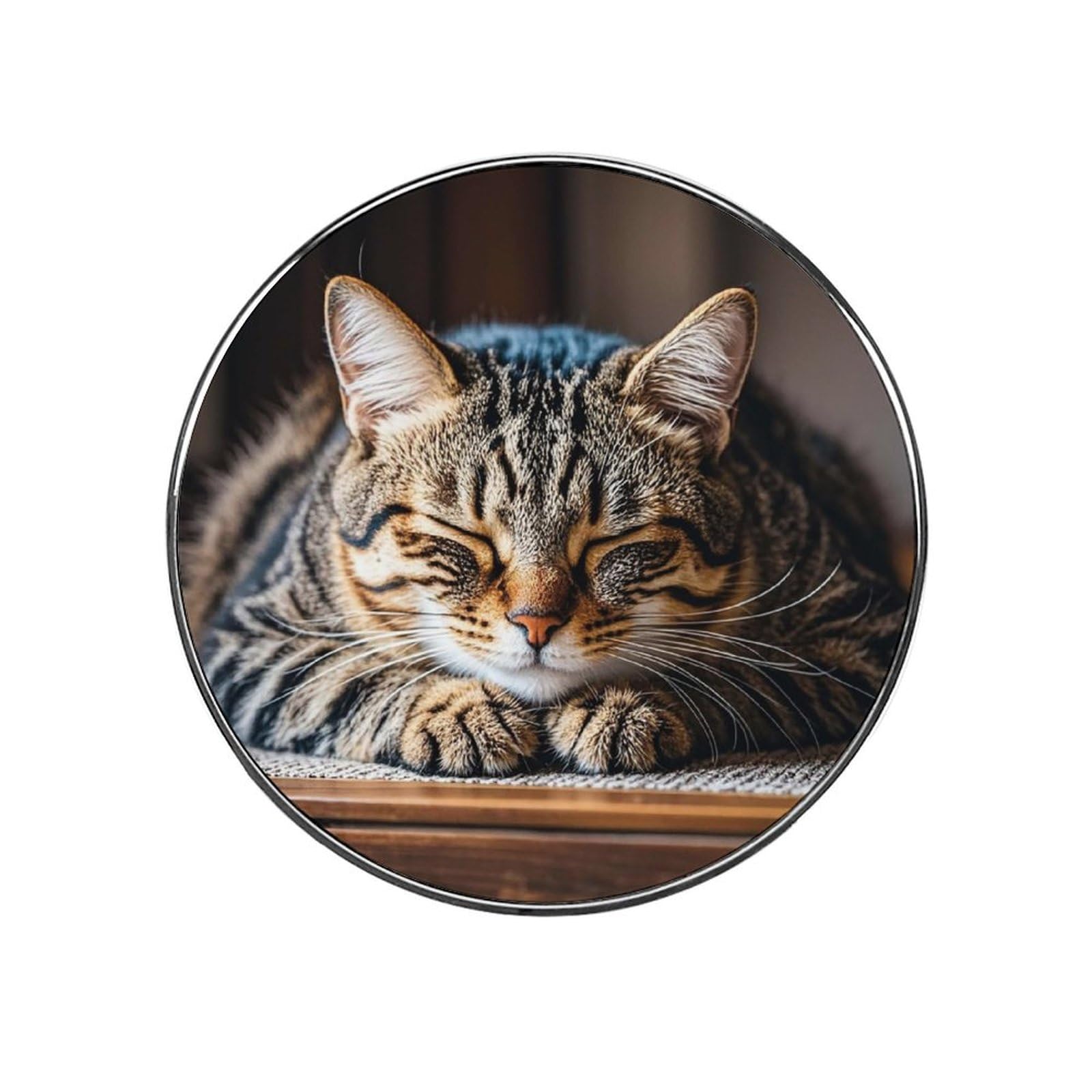 Chat magnétique pour porte de croisière : décorez votre cabine avec style