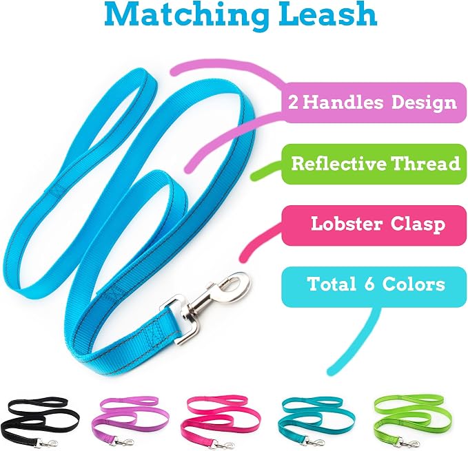 Collar Reflectante Personalizado para Perro - Tallas XS a XL miniatura 5