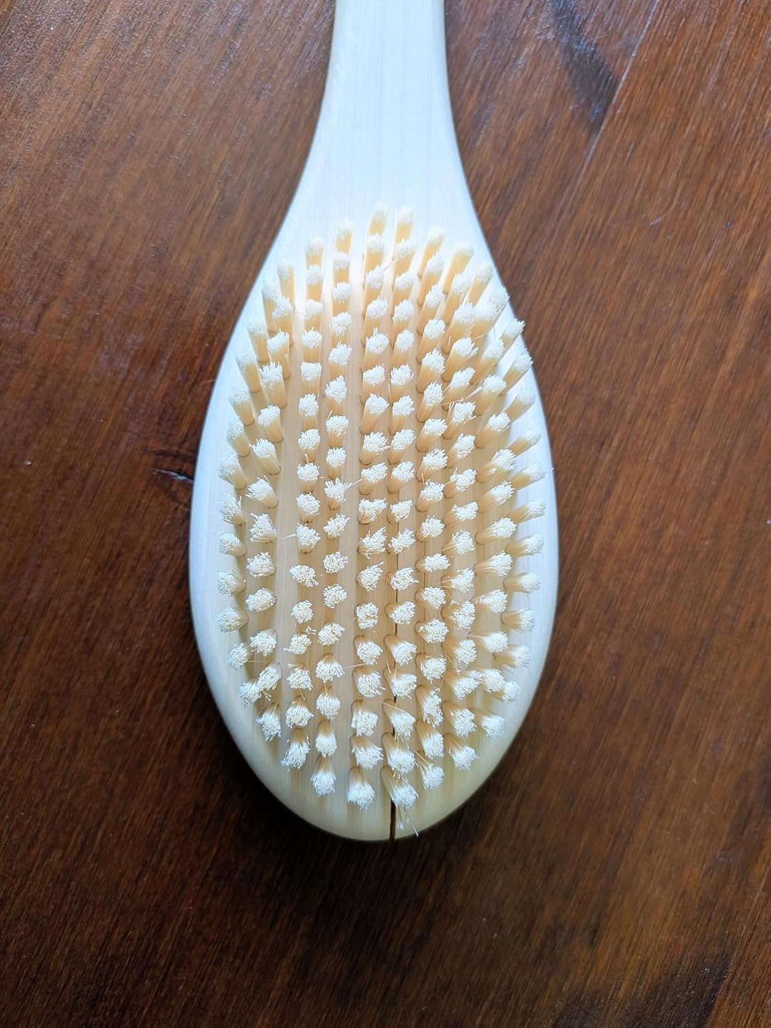 EcoTools Bath Bristle Brush, Bath Brush with Long Handle, Cleanse Back & Hard-to-Reach Areas, Eco Friendly Shower Brush for Exfoliating, Cruelty Free Nylon Bristles, Vegan, 1 Count