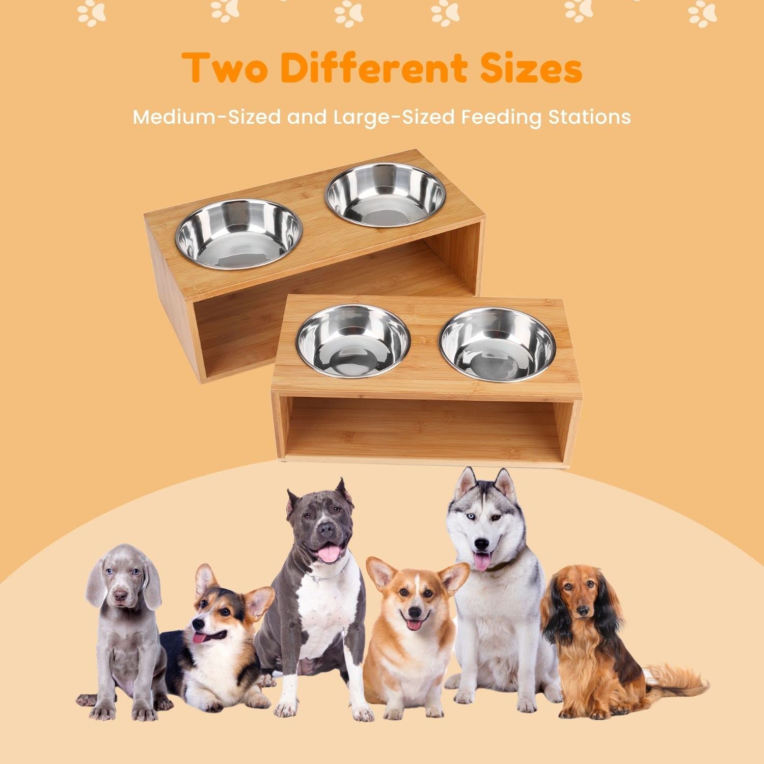 Flexzion Ciotole Elevate per Cani e Gatti - Stazione di Alimentazione Vassoio di Alimentazione Rialzato bambù con Doppio Piatto Cibo Acqua (18 Oz, 6 "di Altezza) Ciotola Rialzata con Supporto Acciaio