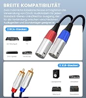 Cablu audio HiFi Tisino Dual RCA la 2 XLR tată, stereo, pentru microfon, 1 m 3