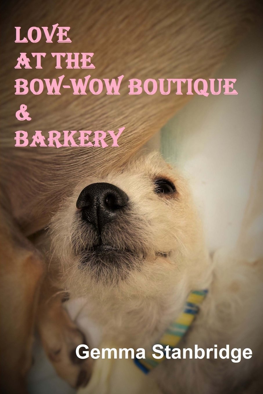 Love at the Bow-Wow Boutique & Barkery