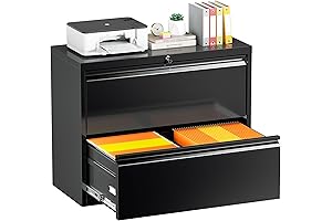 INTERGREAT 2 Drawer Lateral File Cabinet with Lock for Letter/Legal Documents