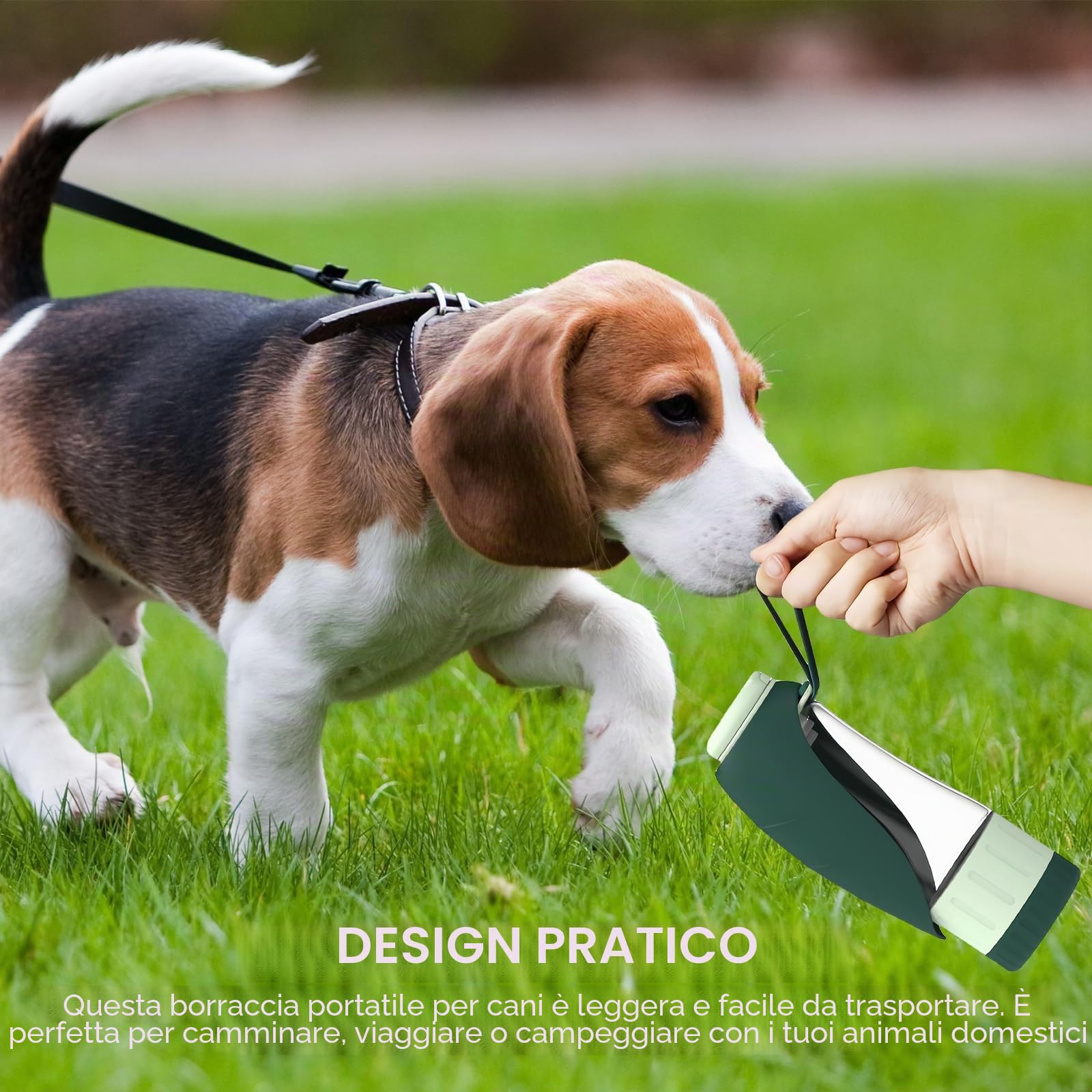 PORFOYO Borraccia da 600 ml per Cani, da Viaggio