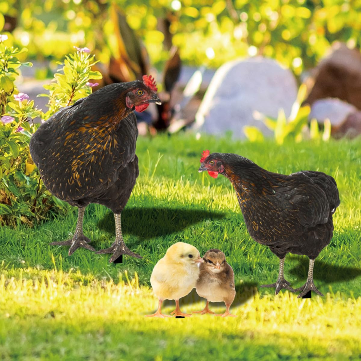 Acryl Gartendekoration Huhn und Hahn Satz für Gartenstecker Draußen