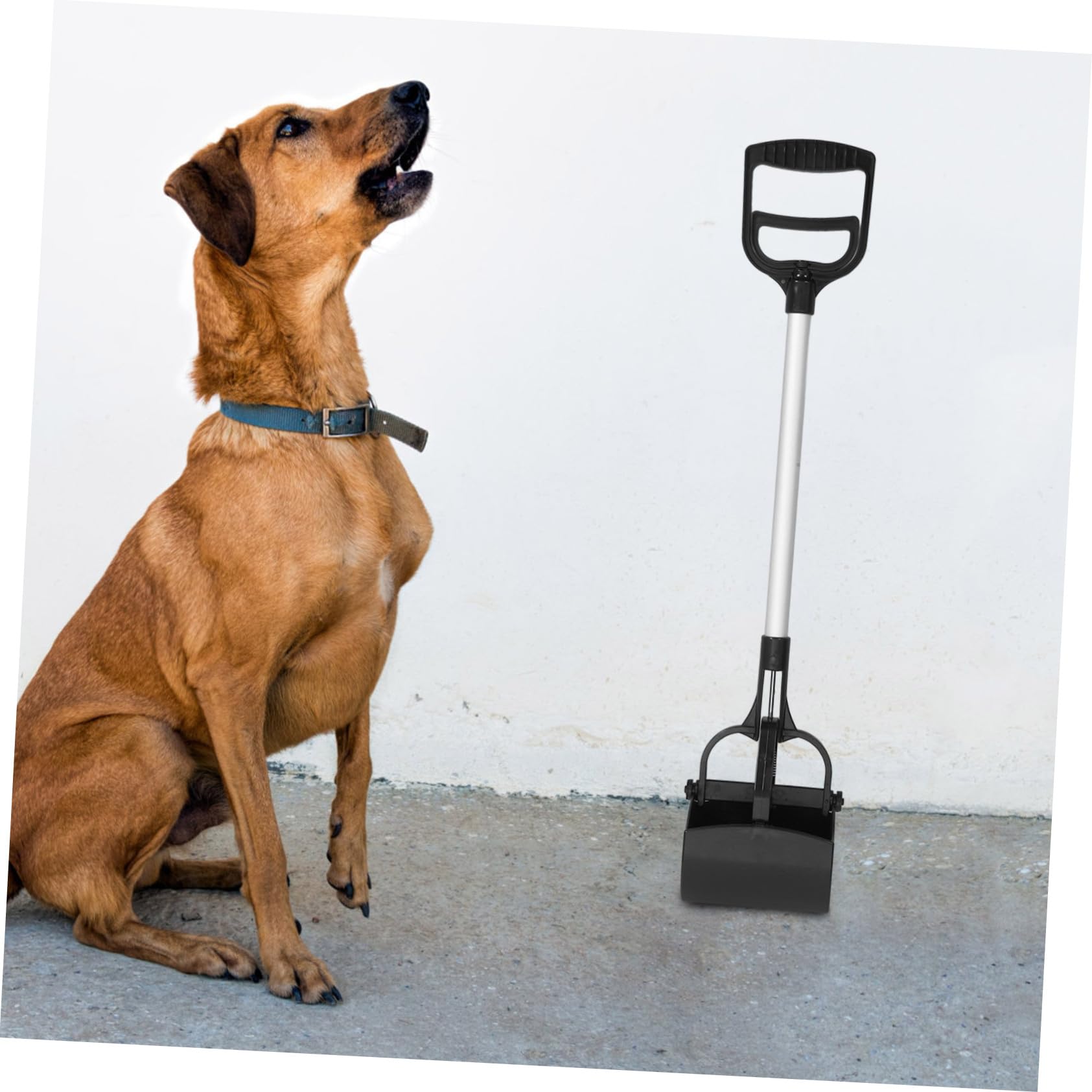 Ramasse-crottes pour Animaux De Compagnie à Longue Poignée, Pelle Plastique Solide, Taille Standard, Usage Extérieur Et Intérieur, Nettoyage sans Contact, pour Chiens Et Chats
