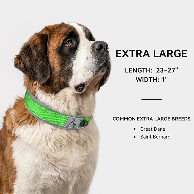 Foto 5 de 6 de Joytale Collar Perro Grande Resistente, Reflectante Ajustable de Acolchado Neopreno Nylon, Verde, XL