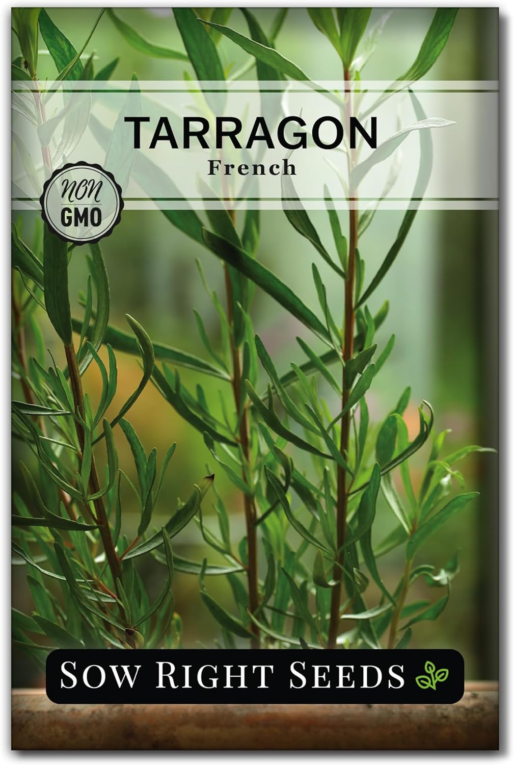 Sow Right Seeds French Tarragon Seeds for Planting Non
