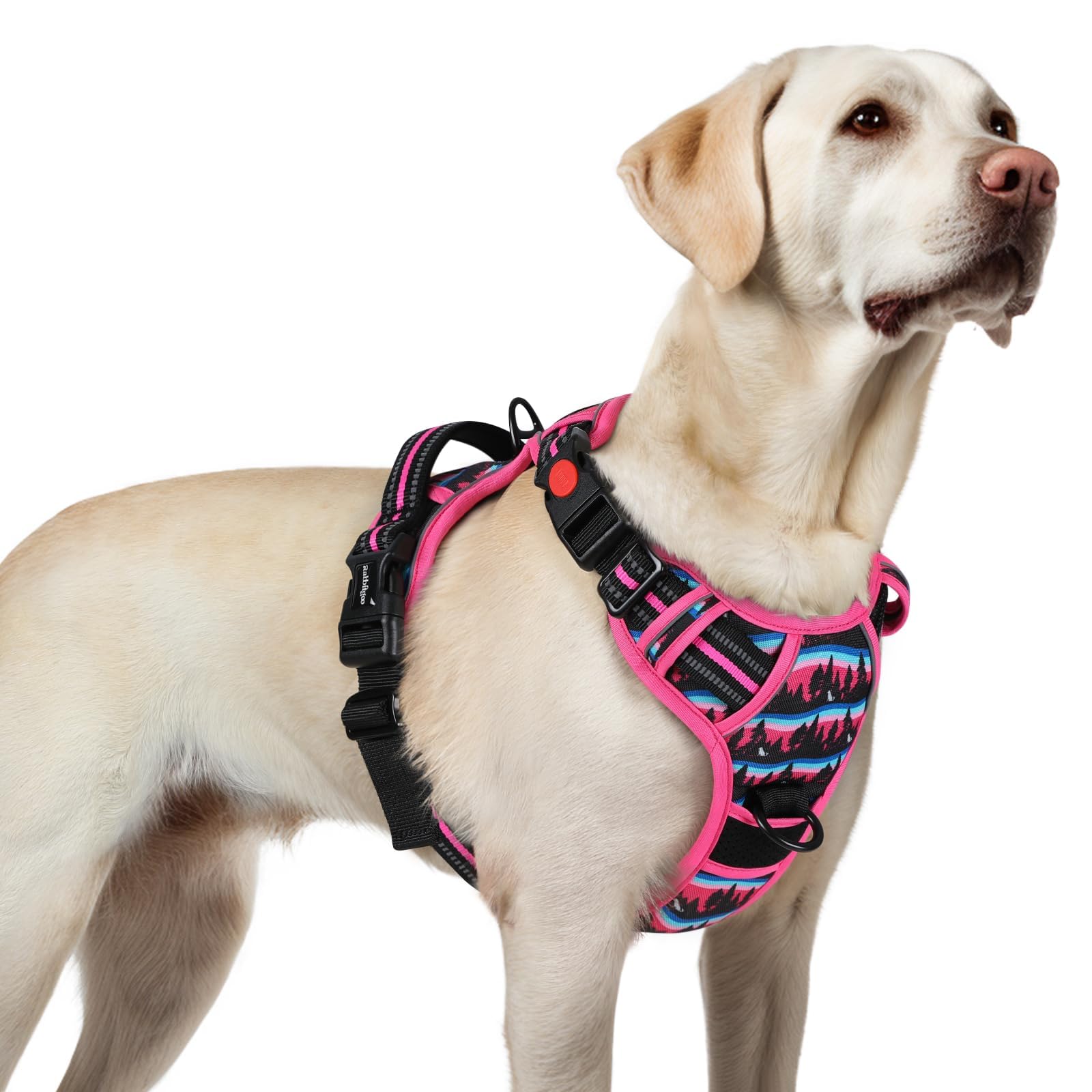 Dog Harness