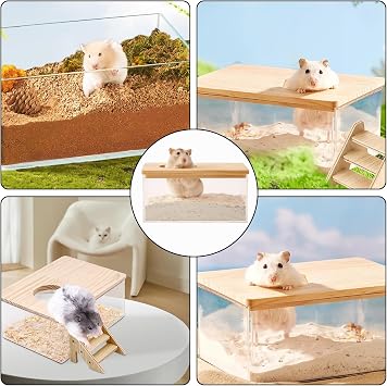 1 Pcs Hamster Sand Bath, Hamster Bath, Sand Bath For Syrian Hamster, Hamster Bath Container With Ladder, Pet Supplies, For Small Animal Toilet Bathtub Hamster Dig Box Shower And Digging Room Litter