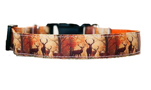 Deer in the autumn forest nature and hunting dog collar andor leash. 1" wide dog collar (Small (1"x 9-14"))
