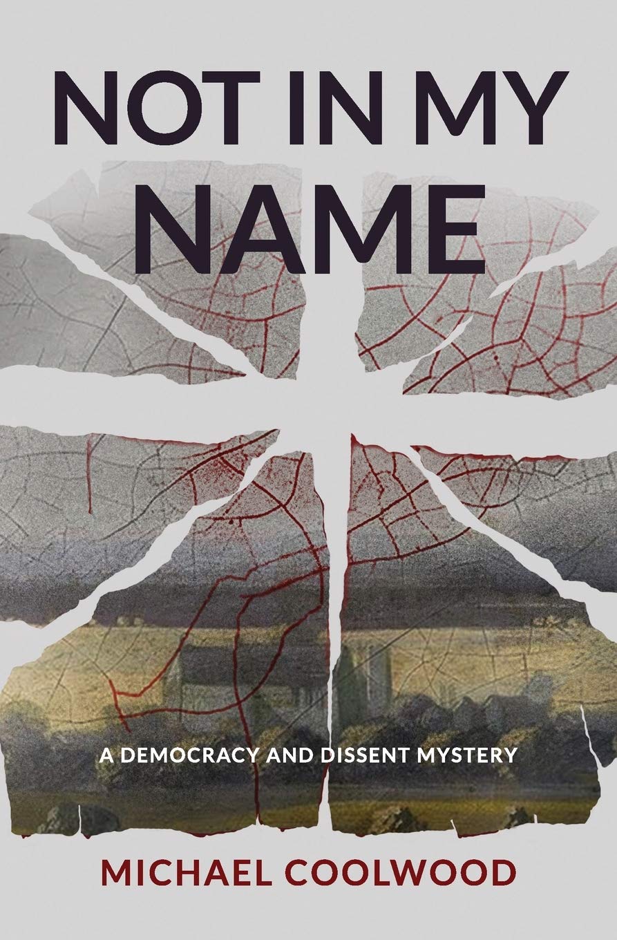 Buy Not In My Name: A Democracy and Dissent Mystery — BookShops.in