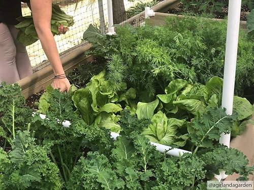 Miniatura 6 de Grassroots Fabric Pots Cama elevada de suelo vivo de 4' x 8'