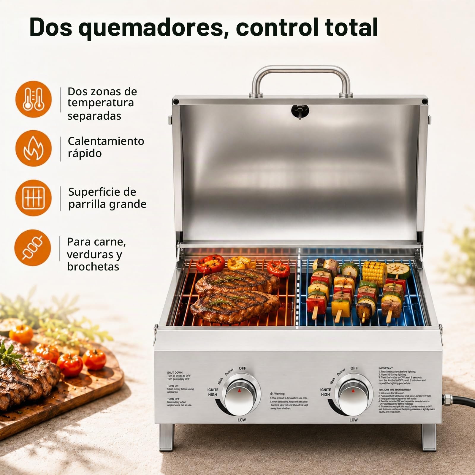 Barbacoa de Gas de Mesa 2 Quemadores Acero Inoxidable con Piedra Pizza