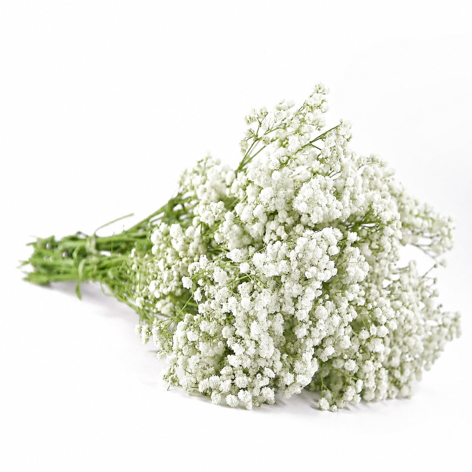 QZKJQDD White Dried Gypsophila Flowers, Dried Flowers for Crafts, Dried Pressed Baby's Breath Flowers, for Resin Art Craft DIY Making Wedding Card Home Party Decor