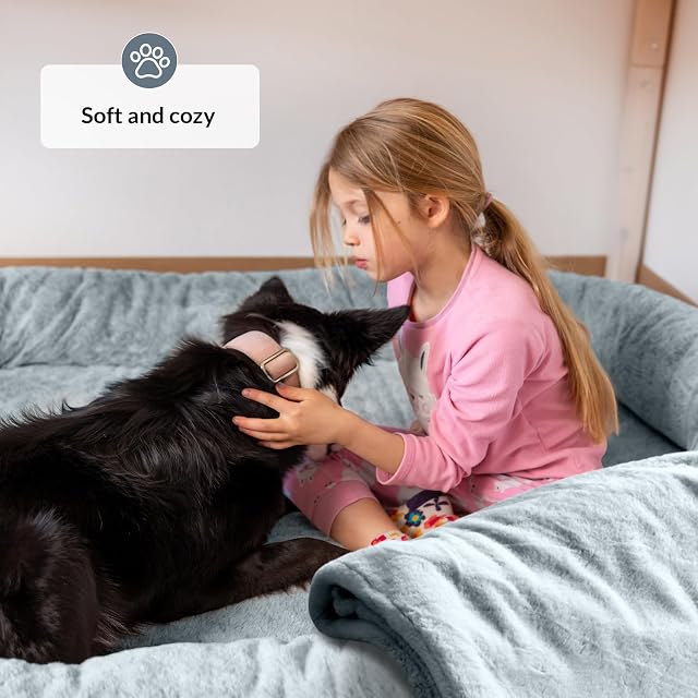 Foto 3 de 7 de ODOXIA Cama para Humanos y Amigos Peludos