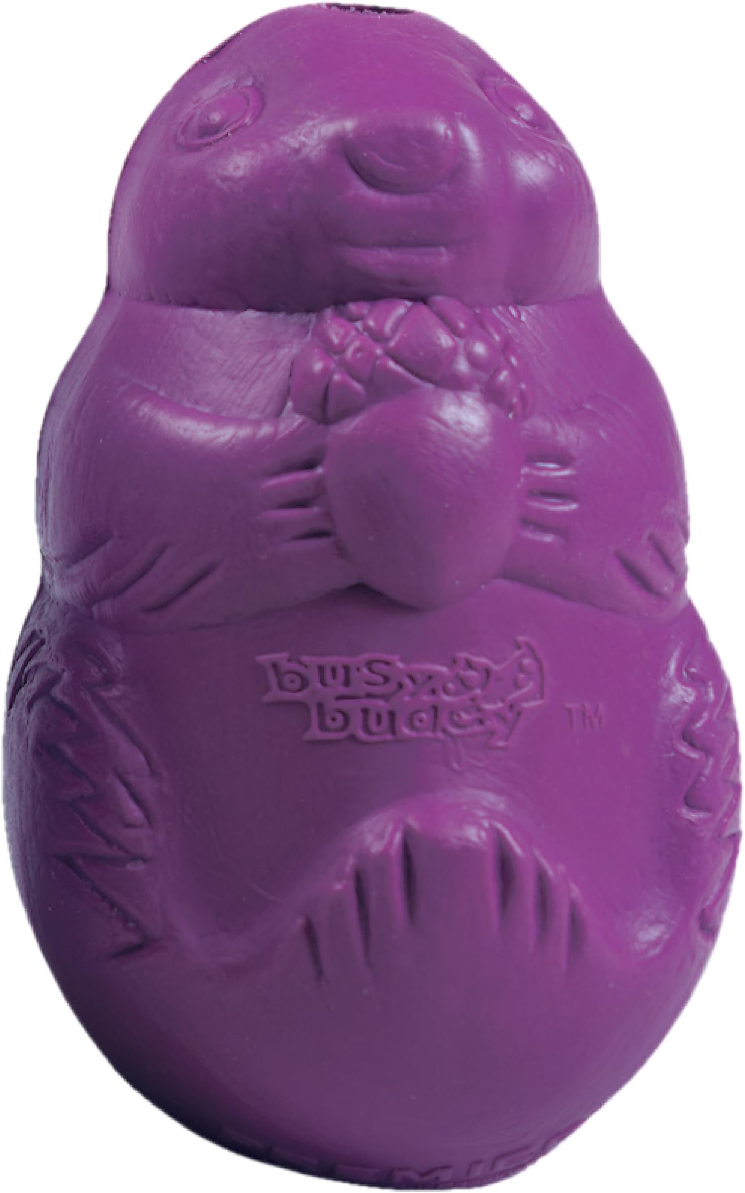 PetSafe Premier Squirrel Dude Dog Toy - Treat Dispensing for Mental Stimulation - Durable Rubber Chew Toy - Fun Meal Challenge - Dishwasher Safe - Great for Aggressive Chewers - Small