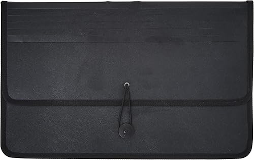 Miniatura 2 de Lion Ex pand-N-File Poly Ex Panding Wallet, Legal (9-12 x 15 pulgadas), refuerzo de 2-12 pulgadas, negro, 1 billetera (48150-BK)