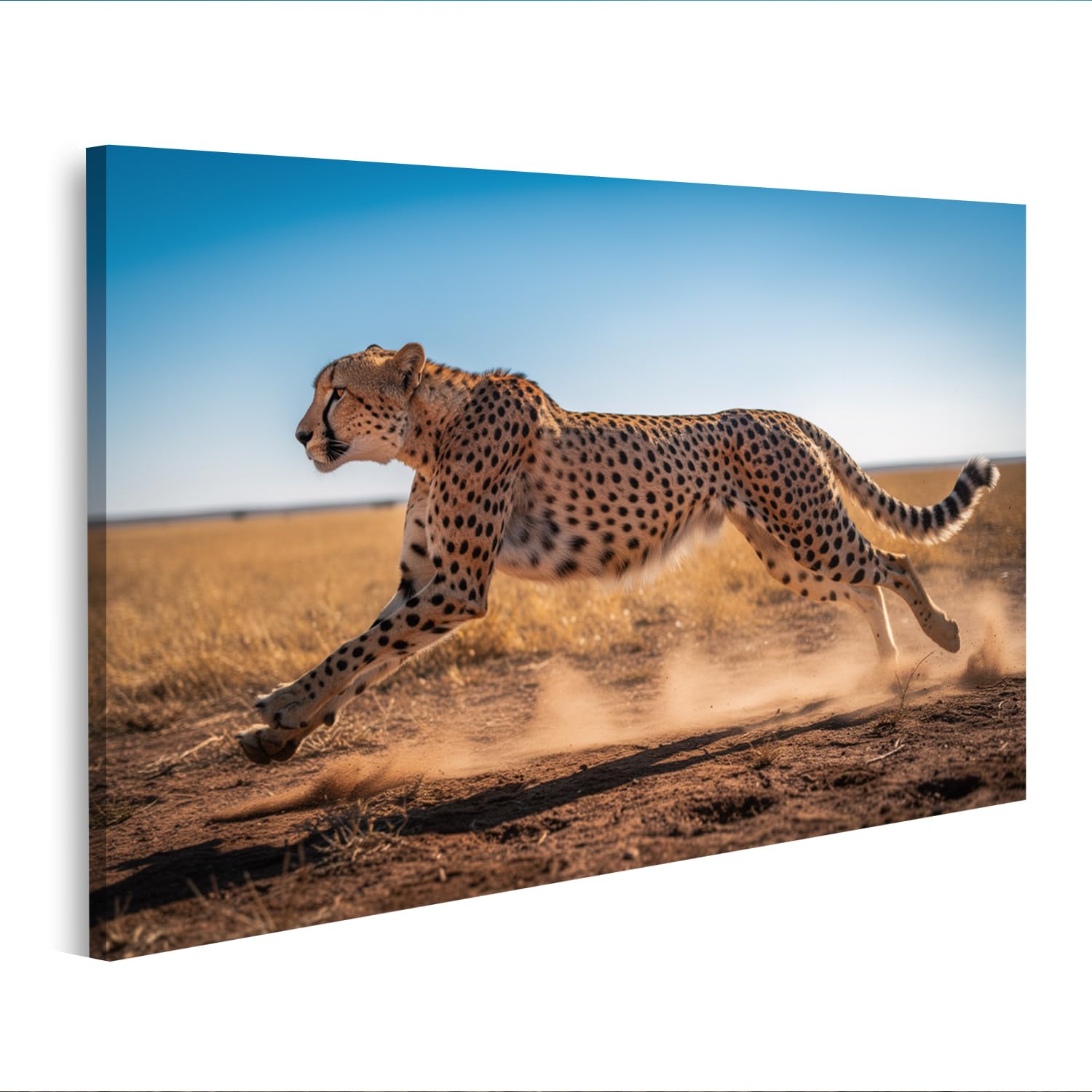 islandburner Tableau sur toile Motif guépard sprintant sur des niveaux poussiéreux - Décoration murale pour les amoureux des animaux - Édition B2
