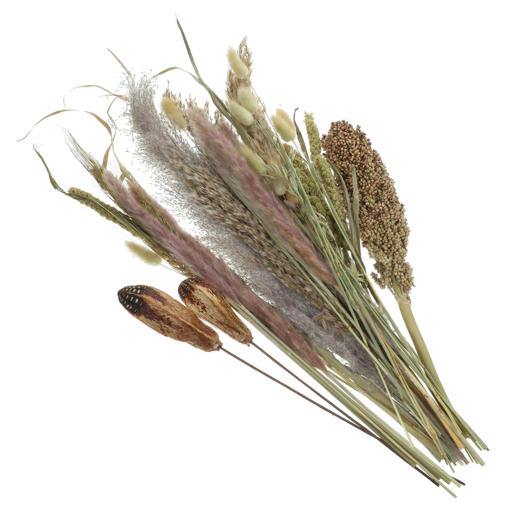 DECHOUS 2pezzi Bundle Di Decorazioni Naturali Pampas e Broomcorn Per Vasi Bouquet Essiccati Per Arredare Casa e Eventi Speciali Atmosfera Bohemien e Nordic