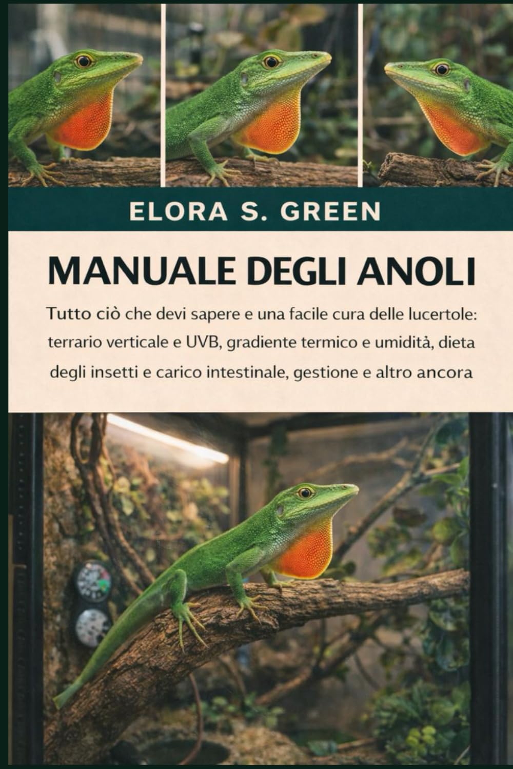 MANUALE DEGLI ANOLI: Tutto ciò che devi sapere e una facile cura delle lucertole: terrario verticale e UVB, gradiente termico e umidità, dieta degli ... e carico intestinale, gestione e altro ancora