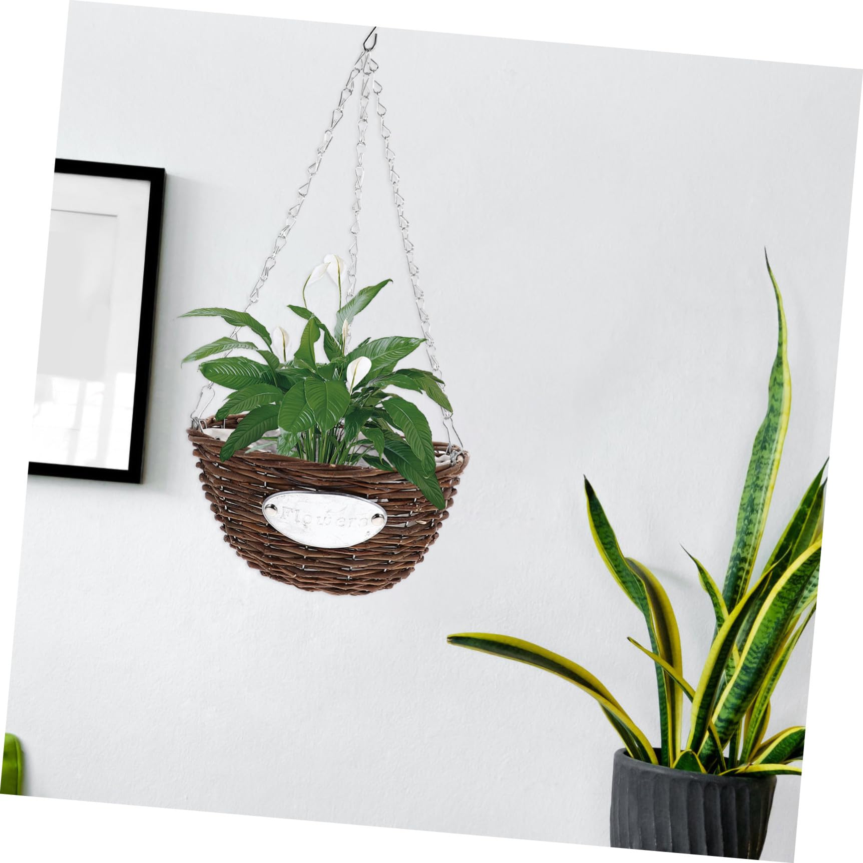 HOMSFOU 2 Pezzi Vasi da Appendere in Rattan e Metallo Marrone per Piante, Cesti Sospesi Decorativi per Balcone e Giardino Esterno