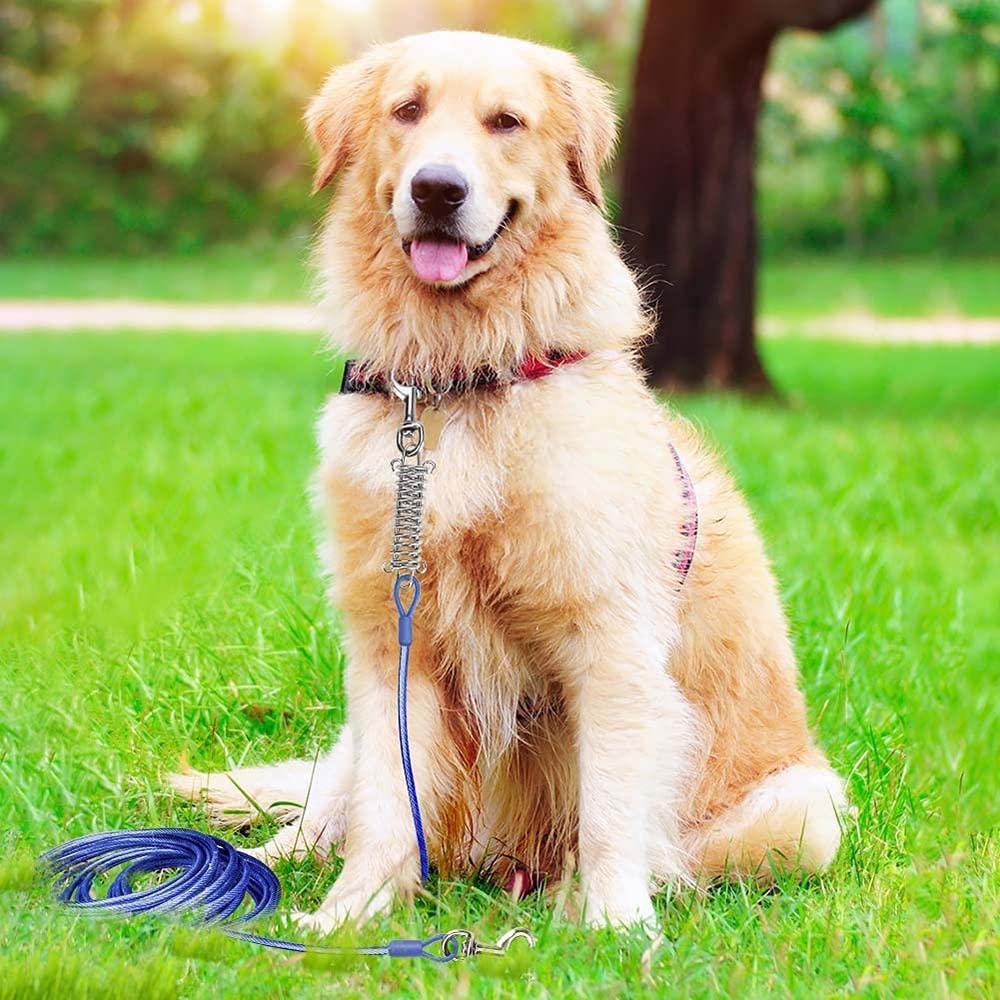Câble d'attache pour Chiens,Chien d'arrêt,3m/5m de Laisse pour Chien,Laisse de Cabine avec Ressort Amortisseur pour Chiens de Taille Moyenne et Grande Camping,Jardin,Course,Parc en Plein Air
