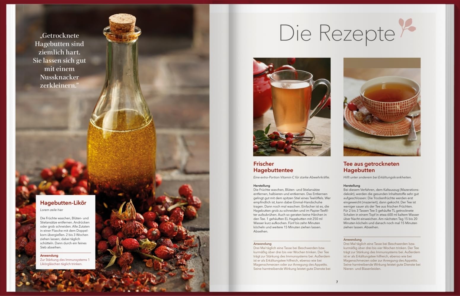 Landlust Naturapotheke: Naturrezepte für Gesundheit und Wohlbefinden – Herbst und Winter. Mit den Heilkräften der Natur gestärkt durch die kalte Jahreszeit. Tipps zu Heilpflanzen und ihrer Anwendung.
