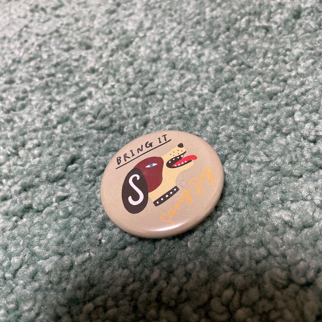 Amazon.co.jp: saucy dog Tシャツ ラバーバンドセット XLサイズ おまけ